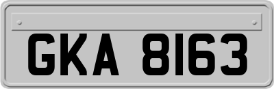 GKA8163