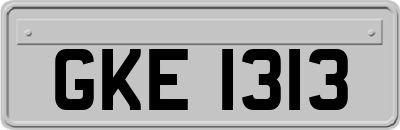GKE1313