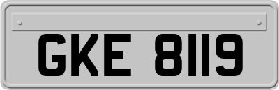 GKE8119