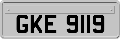 GKE9119