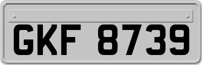GKF8739