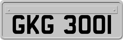 GKG3001