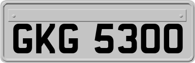 GKG5300