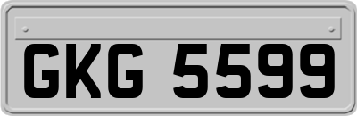 GKG5599