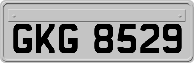 GKG8529
