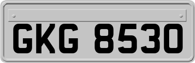 GKG8530