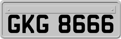 GKG8666