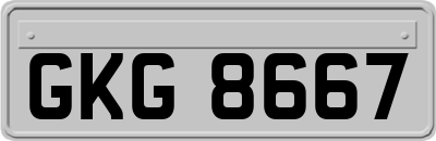 GKG8667