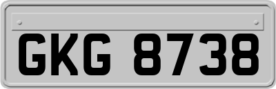 GKG8738
