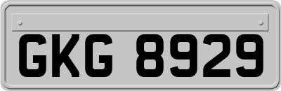 GKG8929