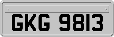 GKG9813