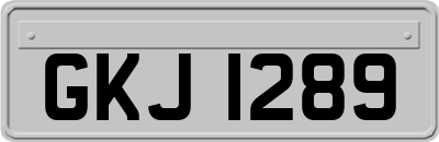 GKJ1289