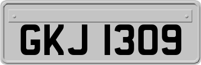 GKJ1309