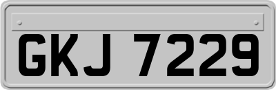 GKJ7229