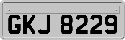 GKJ8229