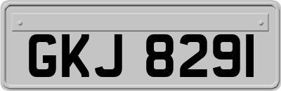 GKJ8291