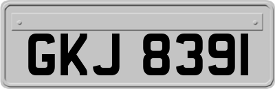 GKJ8391