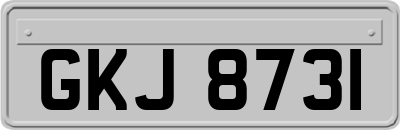 GKJ8731