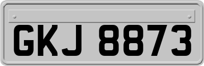 GKJ8873