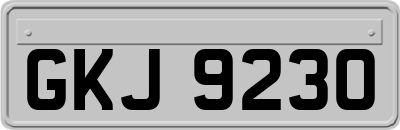 GKJ9230