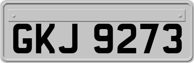 GKJ9273