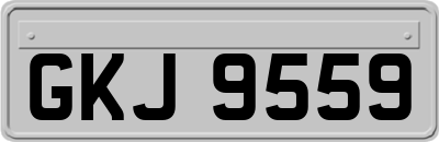 GKJ9559