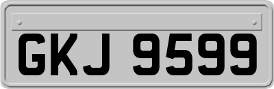 GKJ9599