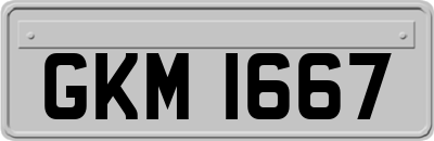 GKM1667