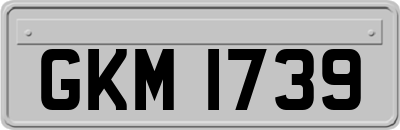 GKM1739