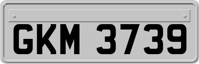 GKM3739