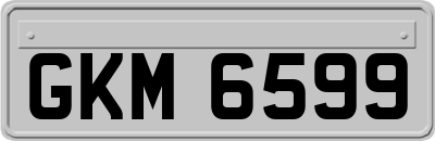 GKM6599