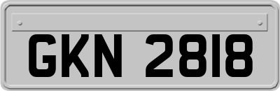 GKN2818