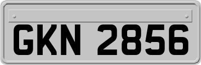 GKN2856