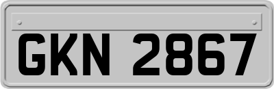 GKN2867