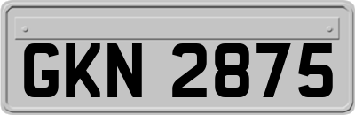 GKN2875