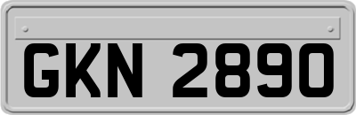 GKN2890