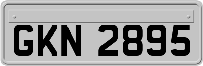 GKN2895