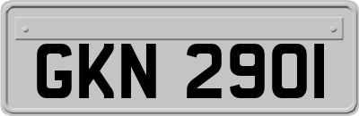 GKN2901