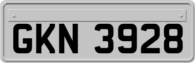 GKN3928