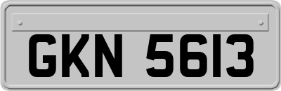 GKN5613