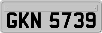 GKN5739