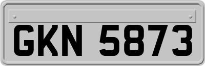 GKN5873