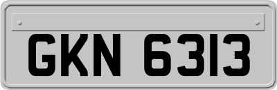 GKN6313