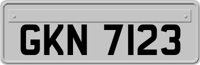 GKN7123