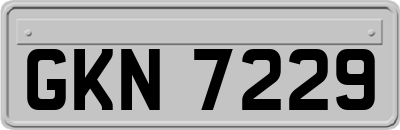 GKN7229