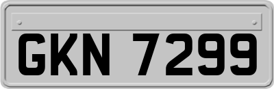 GKN7299