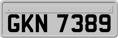 GKN7389