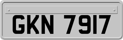 GKN7917