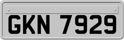 GKN7929