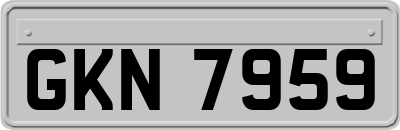 GKN7959